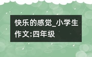 快樂的感覺_小學(xué)生作文:四年級