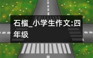 石榴_小學生作文:四年級