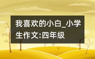 我喜歡的“小白”_小學(xué)生作文:四年級(jí)