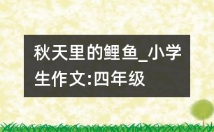 秋天里的鯉魚_小學(xué)生作文:四年級