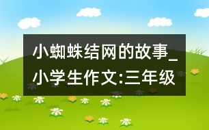 小蜘蛛結(jié)網(wǎng)的故事_小學(xué)生作文:三年級