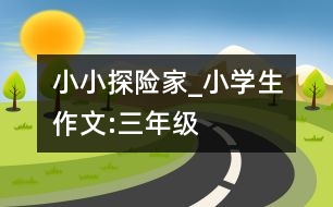 小小探險(xiǎn)家_小學(xué)生作文:三年級(jí)