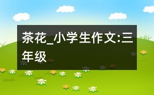 茶花_小學(xué)生作文:三年級(jí)