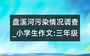 盤(pán)溪河污染情況調(diào)查_(kāi)小學(xué)生作文:三年級(jí)