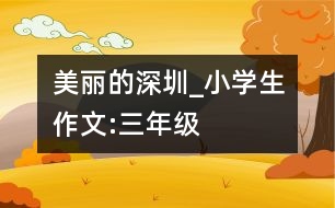 美麗的深圳_小學生作文:三年級