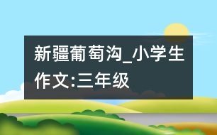 新疆葡萄溝_小學生作文:三年級