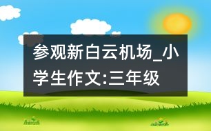 參觀(guān)新白云機(jī)場(chǎng)_小學(xué)生作文:三年級(jí)