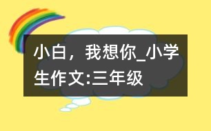 小白，我想你_小學生作文:三年級