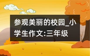 參觀美麗的校園_小學(xué)生作文:三年級