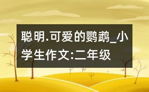 聰明.可愛的鸚鵡_小學(xué)生作文:二年級