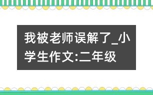 我被老師誤解了_小學(xué)生作文:二年級(jí)