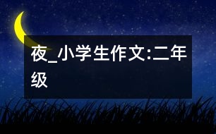 夜_小學(xué)生作文:二年級