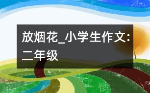 放煙花_小學(xué)生作文:二年級