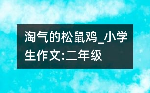 淘氣的松鼠雞_小學(xué)生作文:二年級(jí)