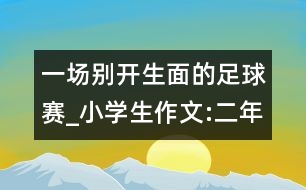 一場別開生面的足球賽_小學(xué)生作文:二年級(jí)