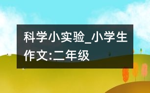 科學(xué)小實(shí)驗(yàn)_小學(xué)生作文:二年級(jí)