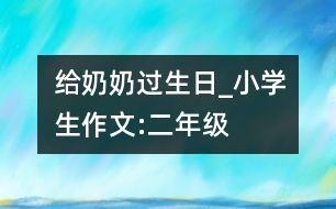 給奶奶過生日_小學(xué)生作文:二年級(jí)