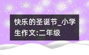 快樂的圣誕節(jié)_小學(xué)生作文:二年級