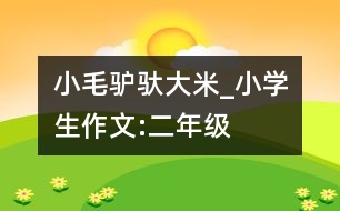 小毛驢馱大米_小學(xué)生作文:二年級(jí)