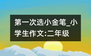 第一次選“小金筆”_小學(xué)生作文:二年級