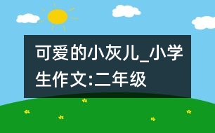 可愛的小灰兒_小學(xué)生作文:二年級(jí)