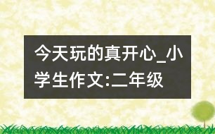 今天玩的真開(kāi)心_小學(xué)生作文:二年級(jí)