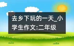 去鄉(xiāng)下玩的一天_小學(xué)生作文:二年級(jí)