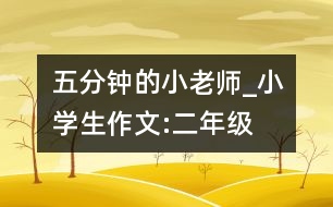 五分鐘的小老師_小學生作文:二年級