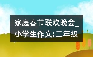 家庭春節(jié)聯(lián)歡晚會_小學生作文:二年級