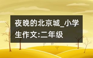 夜晚的北京城_小學(xué)生作文:二年級(jí)