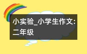 小實驗_小學生作文:二年級