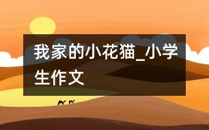 我家的小花貓_小學(xué)生作文