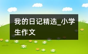 我的日記精選_小學生作文