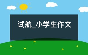 試航_小學(xué)生作文