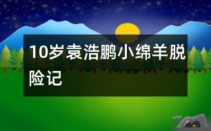 10歲袁浩鵬：小綿羊脫險記