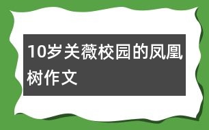 10歲關(guān)薇：校園的鳳凰樹（作文）