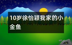 10歲徐怡穎：我家的小金魚