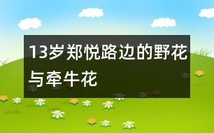 13歲鄭悅：路邊的野花與牽?；?></p>										
													<P>作者簡介：<BR>作者：鄭悅<BR>性別： 年齡：13<BR>學校：廣東省佛山市南海區(qū)桂城桂江一中102班 <BR>年級：初一<BR>輔導老師：賀紹堂</P><P><BR>                     <BR>    牽?；ㄒ腊豢么髽渑赖煤芨吆芨?，而小野花一點也不顯眼地長在路坎邊。<BR>                     <BR>    一天，牽?；ò炎彀屯砍筛鞣N顏色，一齊對著路邊的小野花嘲笑：藍嘴巴說：“小野花，你是吃多了玩童的尿了，長不高的?！本G嘴巴說：“你是天生基因決定，長不高的?！弊献彀驼f：“什么都只能靠邊站，一點見識也沒有，多慚愧?！弊詈蠹t嘴巴高興得唱起了歌：“嗚喇、嗚喇，我嘴小勁大。白云被我吹著跑，雷公與我把話拉。清晨小鳥就請安，嗚喇、嗚喇，我有一張小嘴巴?！?BR>                     <BR>    正當牽?；ǖ靡庵畷r，幾個伐木工人看中了牽?；ㄋ腊拇髽?，隨著一聲聲伐木機聲，牽牛花應聲倒下了，它甩得很慘，從此再也未見它爬起來過。<BR>                     <BR>    點評：小作者緊扣寓言在生動的故事中寄寓深刻道理的特點，運用擬人手法，再現(xiàn)自吹自擂者形象，結尾耐人尋味。<BR></P></td>            </tr>			<tr>              						</div>
						</div>
					</div>
					<div   id=