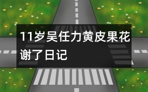 11歲吳任力：黃皮果花謝了（日記）