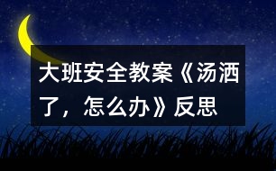 大班安全教案《湯灑了，怎么辦》反思