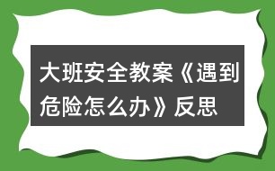 大班安全教案《遇到危險(xiǎn)怎么辦》反思