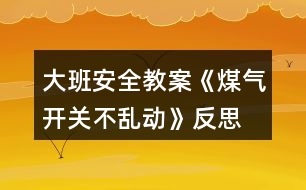 大班安全教案《煤氣開關(guān)不亂動》反思