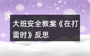 大班安全教案《在打雷時》反思