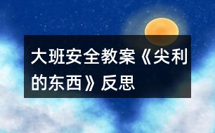 大班安全教案《尖利的東西》反思