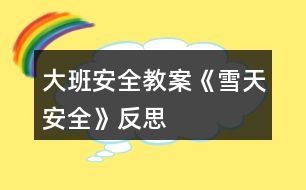 大班安全教案《雪天安全》反思