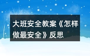 大班安全教案《怎樣做最安全》反思