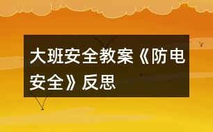 大班安全教案《防電安全》反思