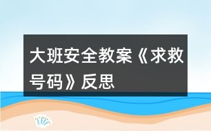 大班安全教案《求救號碼》反思