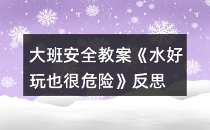 大班安全教案《水好玩也很危險(xiǎn)》反思