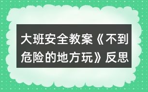 大班安全教案《不到危險(xiǎn)的地方玩》反思